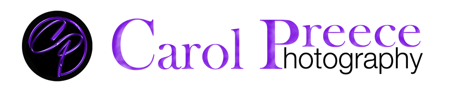 carol preece header with logo layers copy
