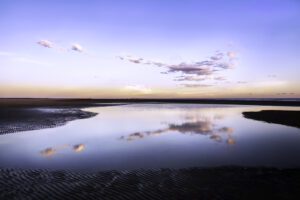 Lee Point Turtle Cloud