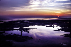 Lee Point sunrise fallen posts