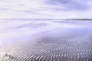 Lee Point beach serenity in the sun