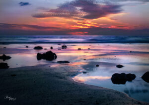 Lee Point pink sunrise bird cloud