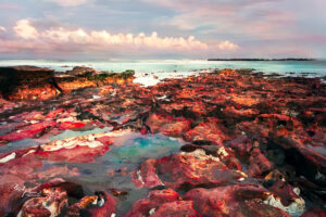 Nightcliff Red Rocks at Sunset