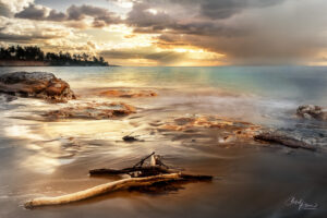 Nightcliff sunset on driftwood